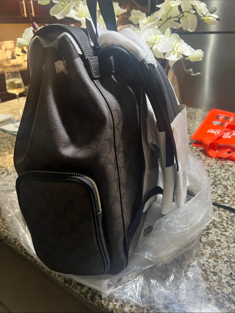 Coach sleek backpack